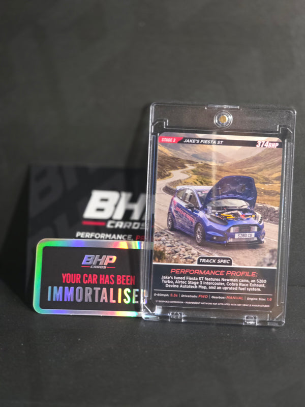 JAKE'S FIESTA ST